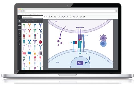 Bio render - Start making professional scientific figures today. Browse 1000s of icons & templates from many fields of life sciences. Create science figures in minutes with BioRender scientific illustration software!